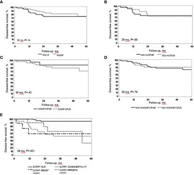 Prognostic stratification of endometrial cancers with high microsatellite instability or no specific molecular profile